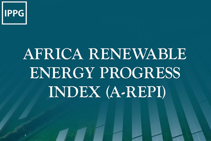IPPG Concludes Consultations on Africa Renewable Energy Progress Index (A-REPI)
